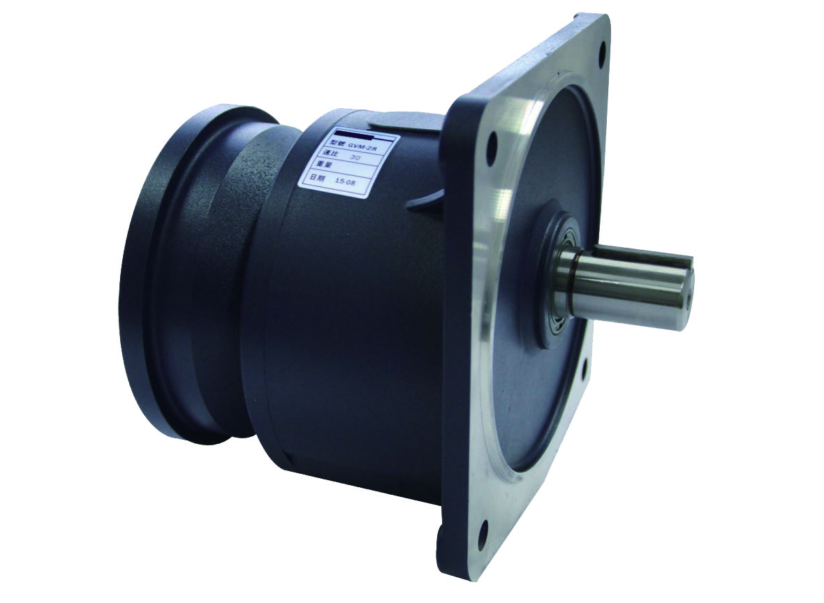 GVM vertical input flange gear reducer