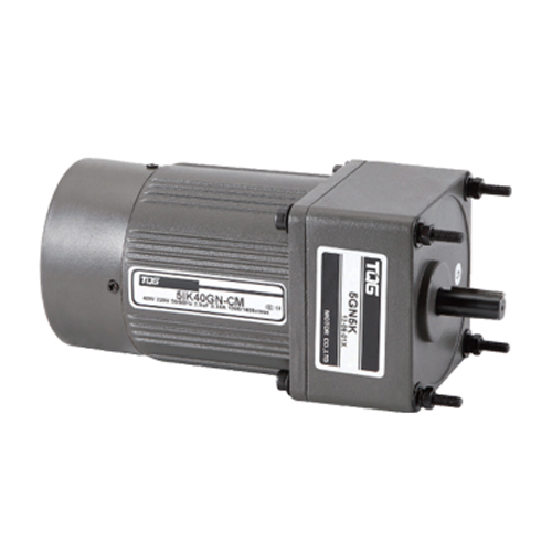 Standard Induction Gear Motor