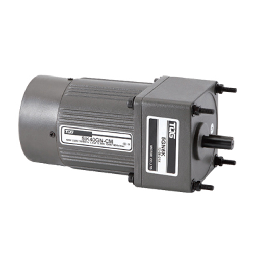 Torque Type of Gear Motor