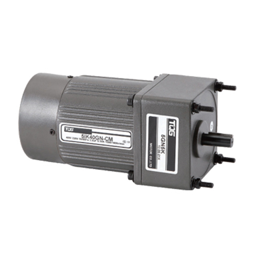 Induction motor 2-poles